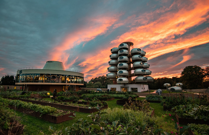 越看越像樹葡萄，但一點都不“土味”